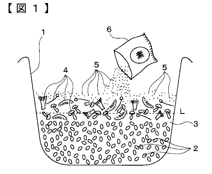 Ingredient Placement Technique for Enhanced Flavor in Takikomi Gohan(Seasoned Rice) Patent Drawing