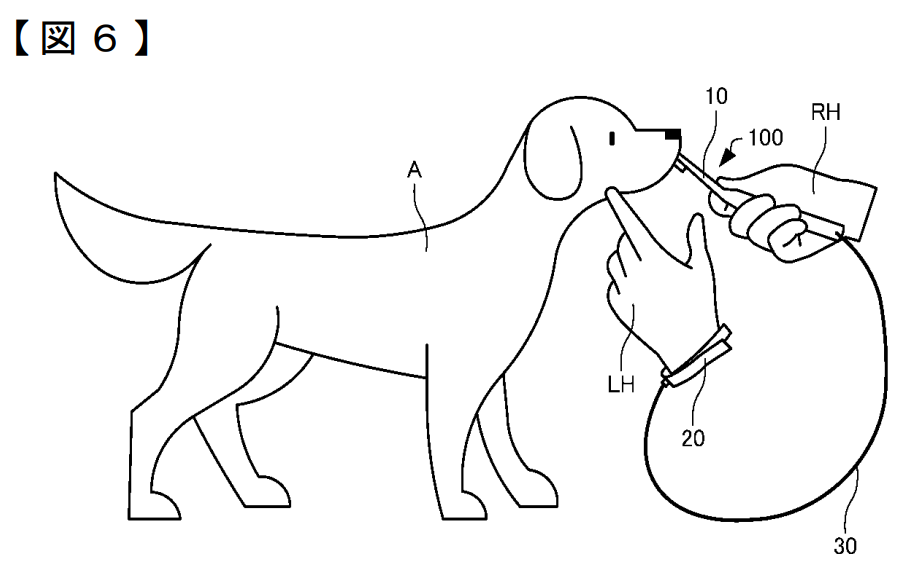 Animal Oral Care Device with Electrical Connection Patent Drawing