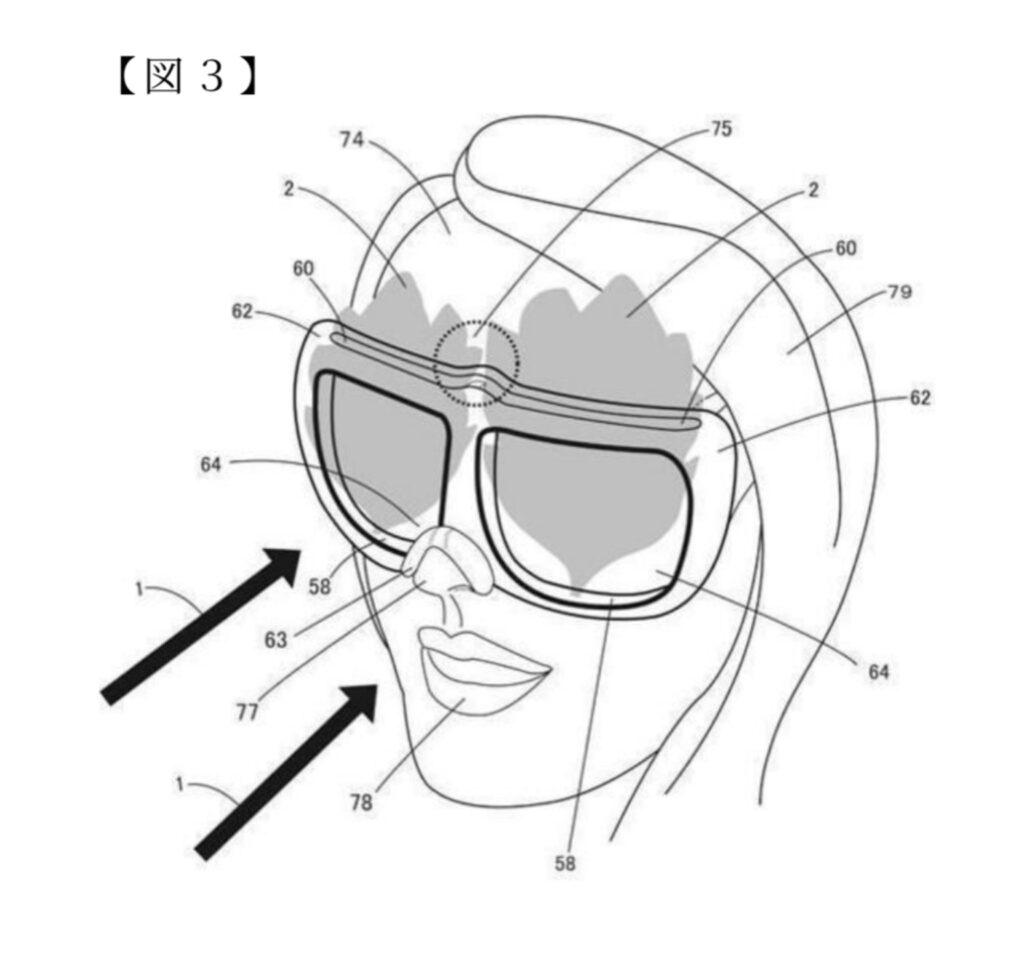 Living Leaf Eyewear - Sustainable Design That Brings Nature Directly to Your Eyes- | Patent Drawing